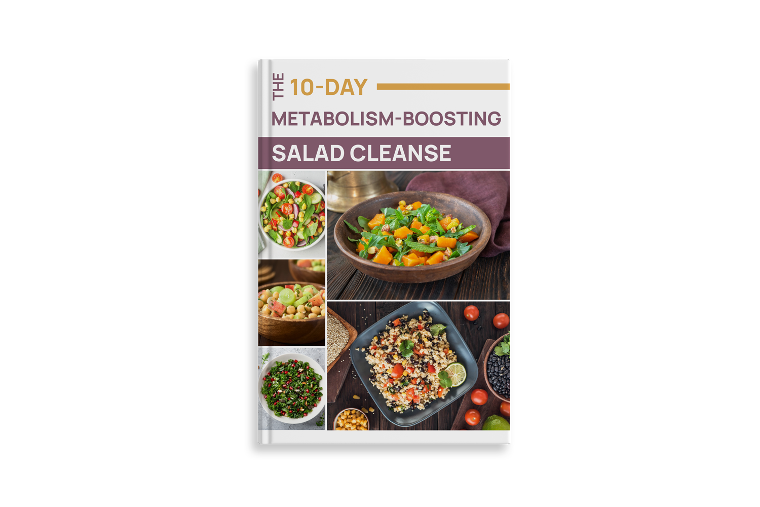 The 10-Day Metabolism Boosting Salad Cleanse eBook