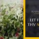 Healing Kitchen: Let Food Be Thy Medicine