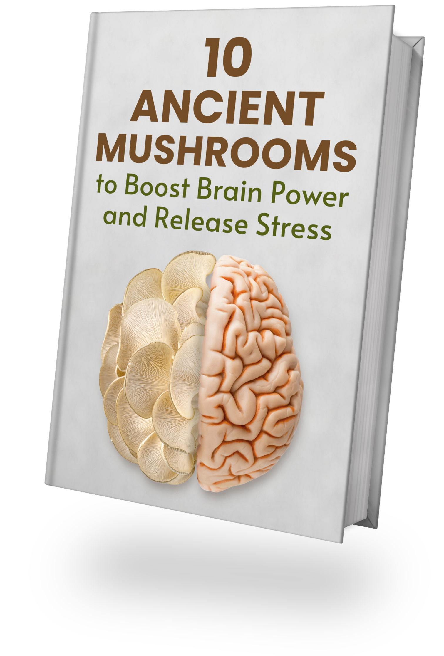 10 Ancient Mushrooms to Boost Brain Power and Release Stress eBook 10 Ancient Mushrooms to Boost Brain Power and Release Stress eBook