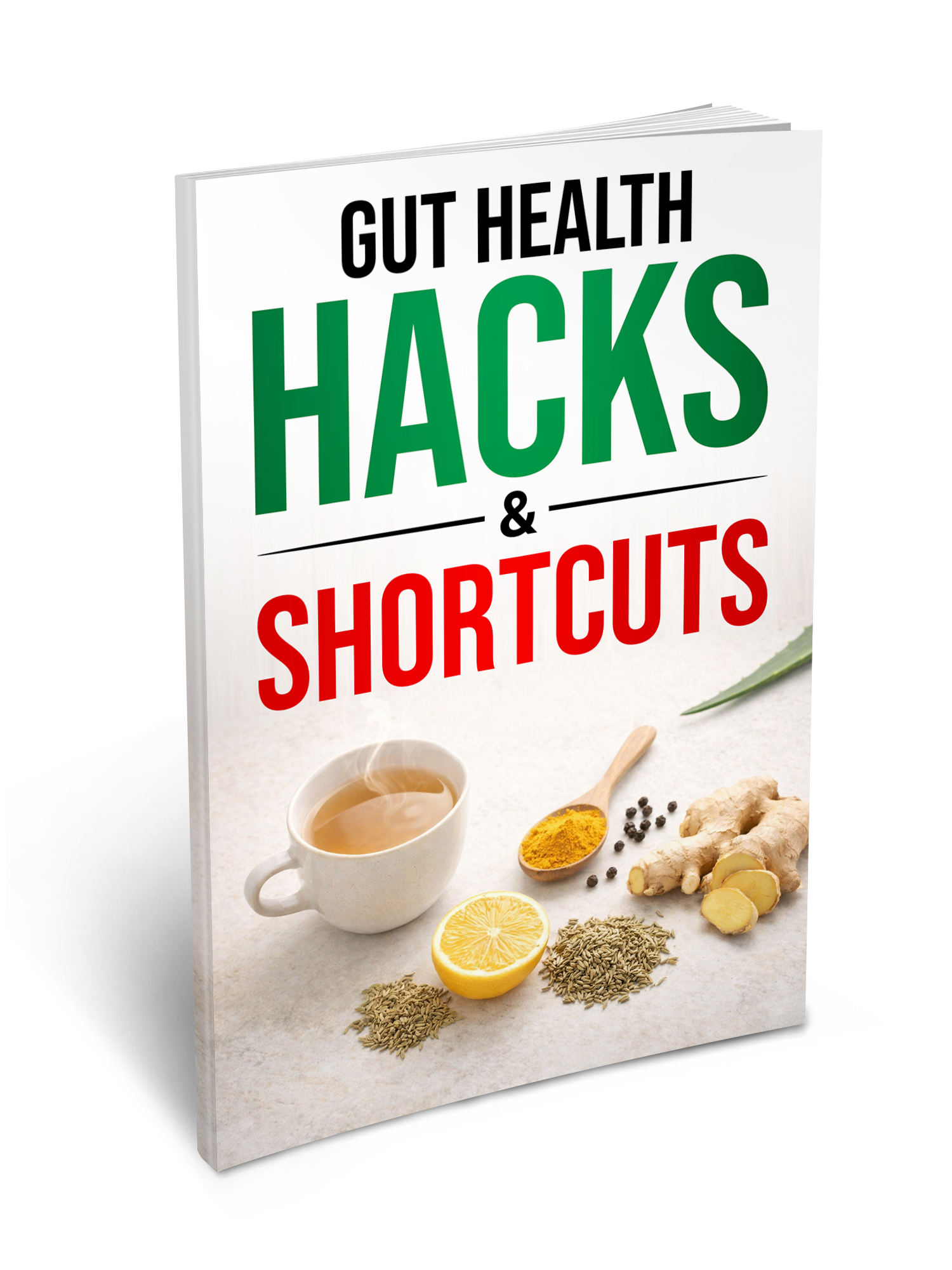 Gut Health Hacks eBook