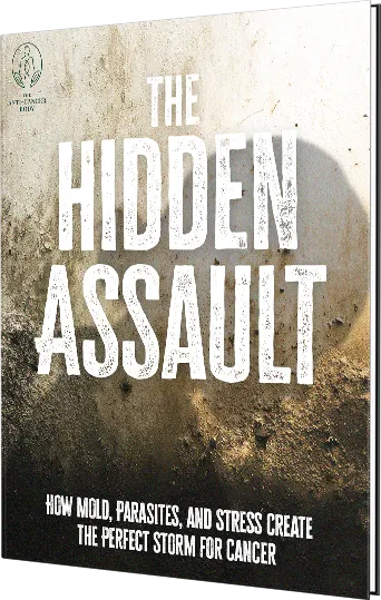 The Hidden Assault eBook