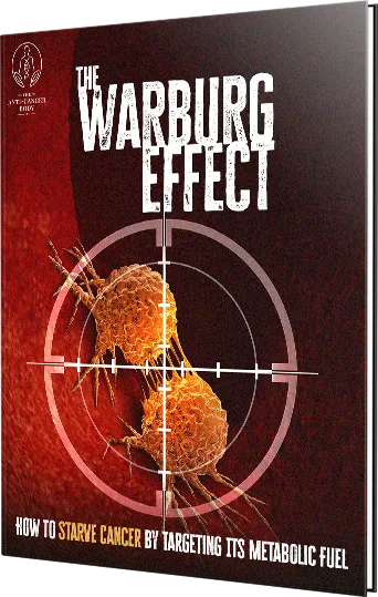 The Warburg Effect eBook