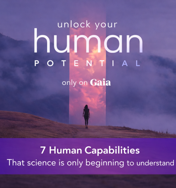 Unlock Your Human Potential