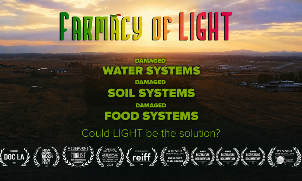 Farmacy of Light