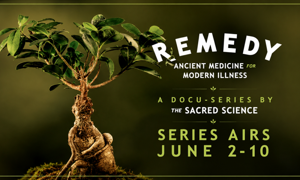 Remedy: Ancient Medicine for Modern Illness