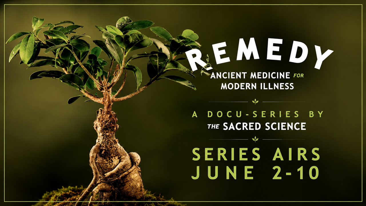 Remedy: Ancient Medicine for Modern Illness