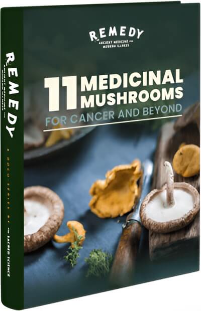 Medicinal Mushrooms eBook Medicinal Mushrooms eBook