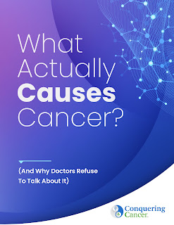 What Actually Causes Cancer? eBook What Actually Causes Cancer? eBook