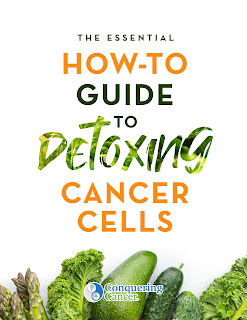 The Essential How-To Guide to Detoxing Cancer Cells eBook The Essential How-To Guide to Detoxing Cancer Cells eBook