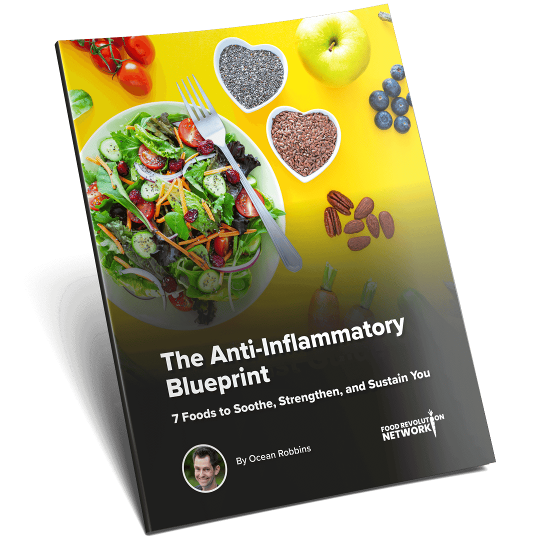 Anti-Inflammation Guidebook eBook