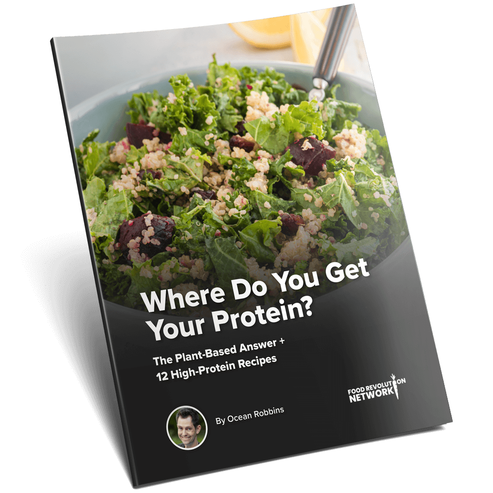 Protein Guidebook eBook