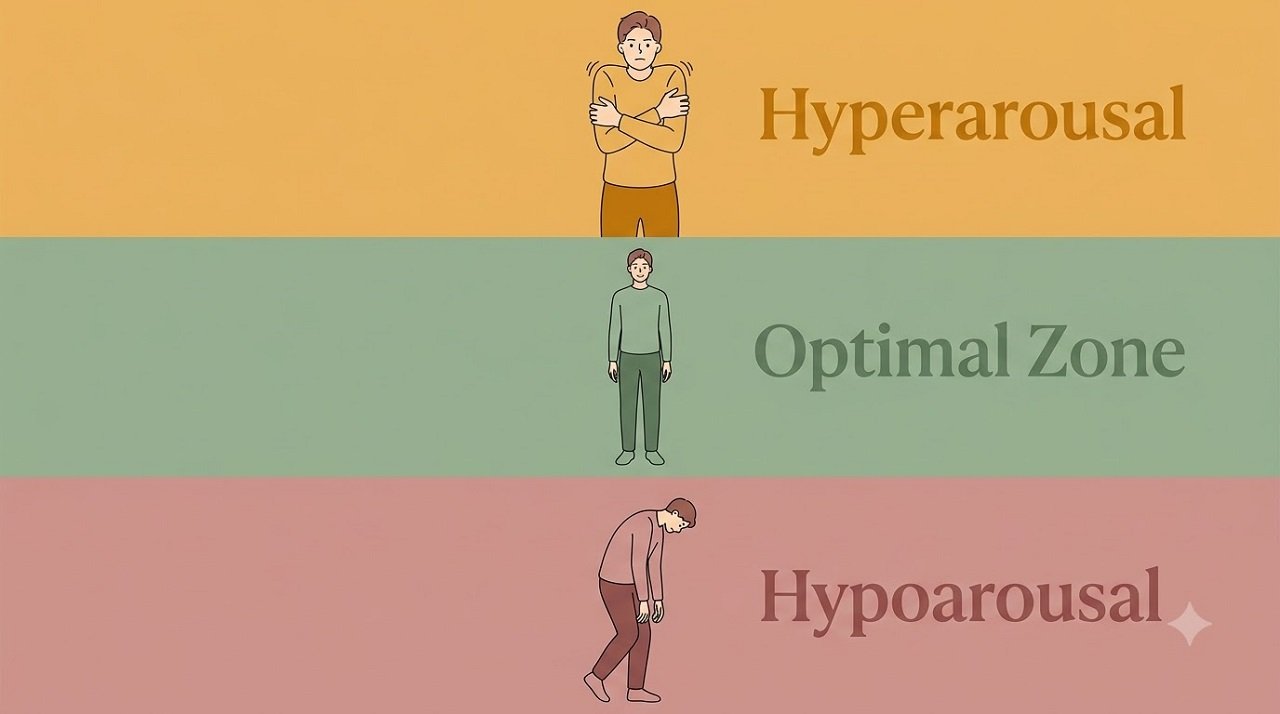 Illustration of three body postures representing hyperarousal above, optimal zone in the middle, and hypoarousal below in the window of tolerance framework